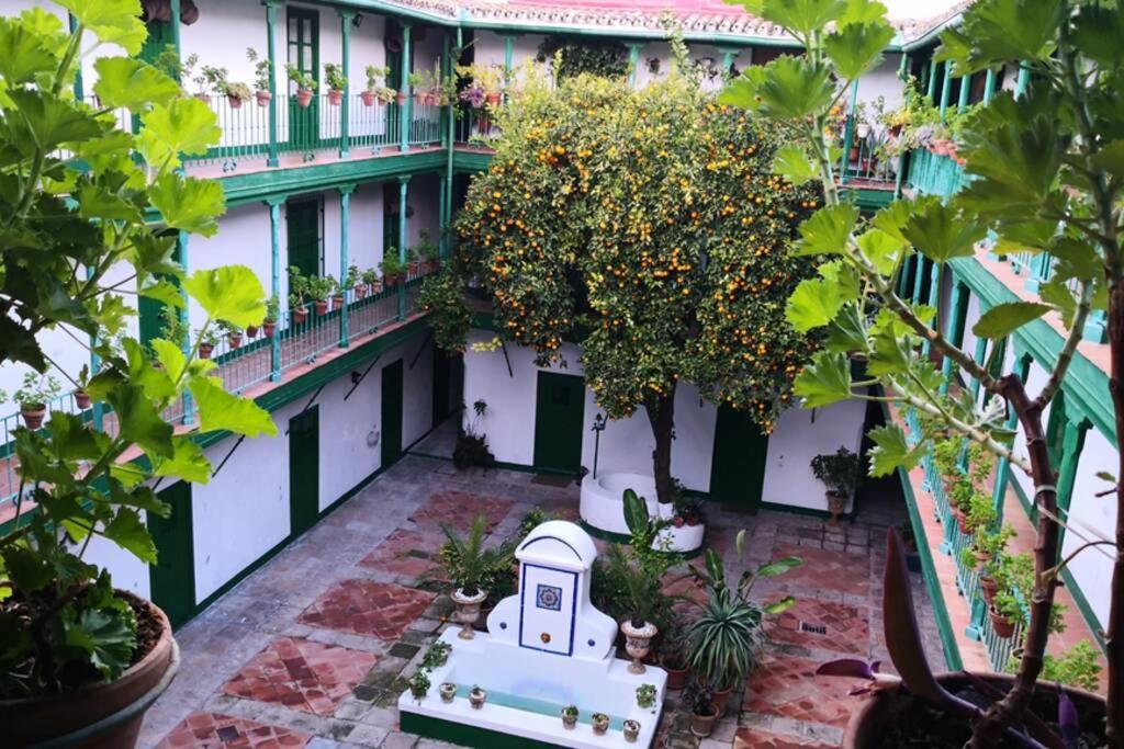 Alcazares Sevilla Centro Екстериор снимка
